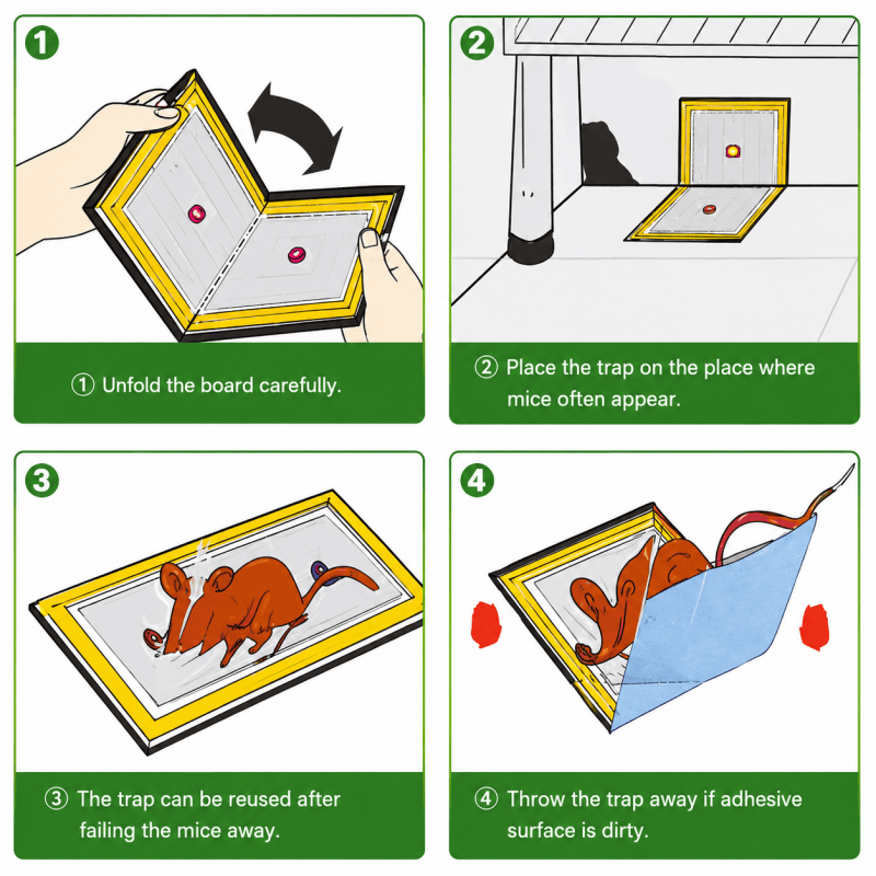 Fold-out mouse glue trap board diagram with placement steps 1 to 4