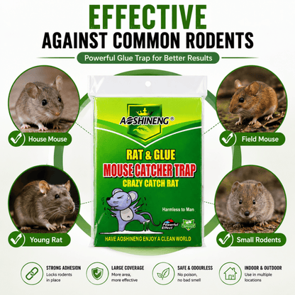 Rat & glue mouse catcher trap pack with icons for common rodent types