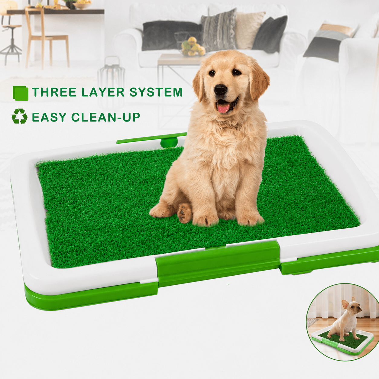 Dog sitting on green artificial grass pad inside white reusable toilet tray