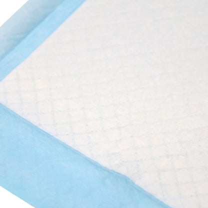 Blue-bordered absorbent puppy training pad with white textured center