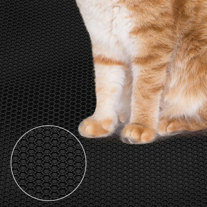 Close-up of cat paws on black textured litter mat with non-slip hex surface
