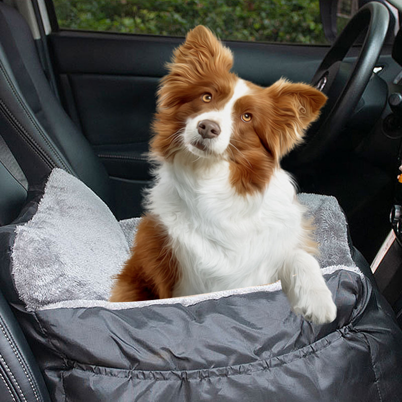 Black plush pet car booster seat with gray interior, shown with a small dog