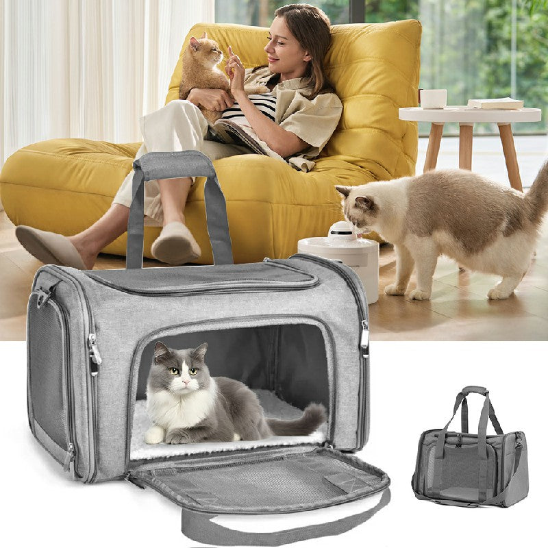 Grey foldable pet carrier bag with open front; cat visible through zip mesh door
