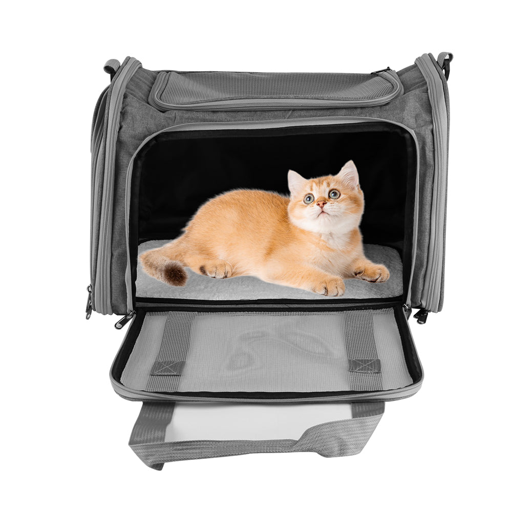 Grey foldable pet carrier bag with open front and a cat inside the mesh window.