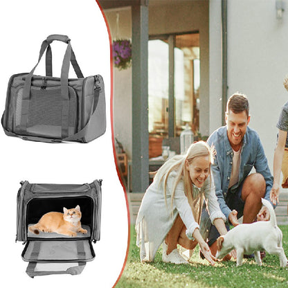 Grey foldable pet carrier bag with cat inside, mesh front, and top carrying handles.