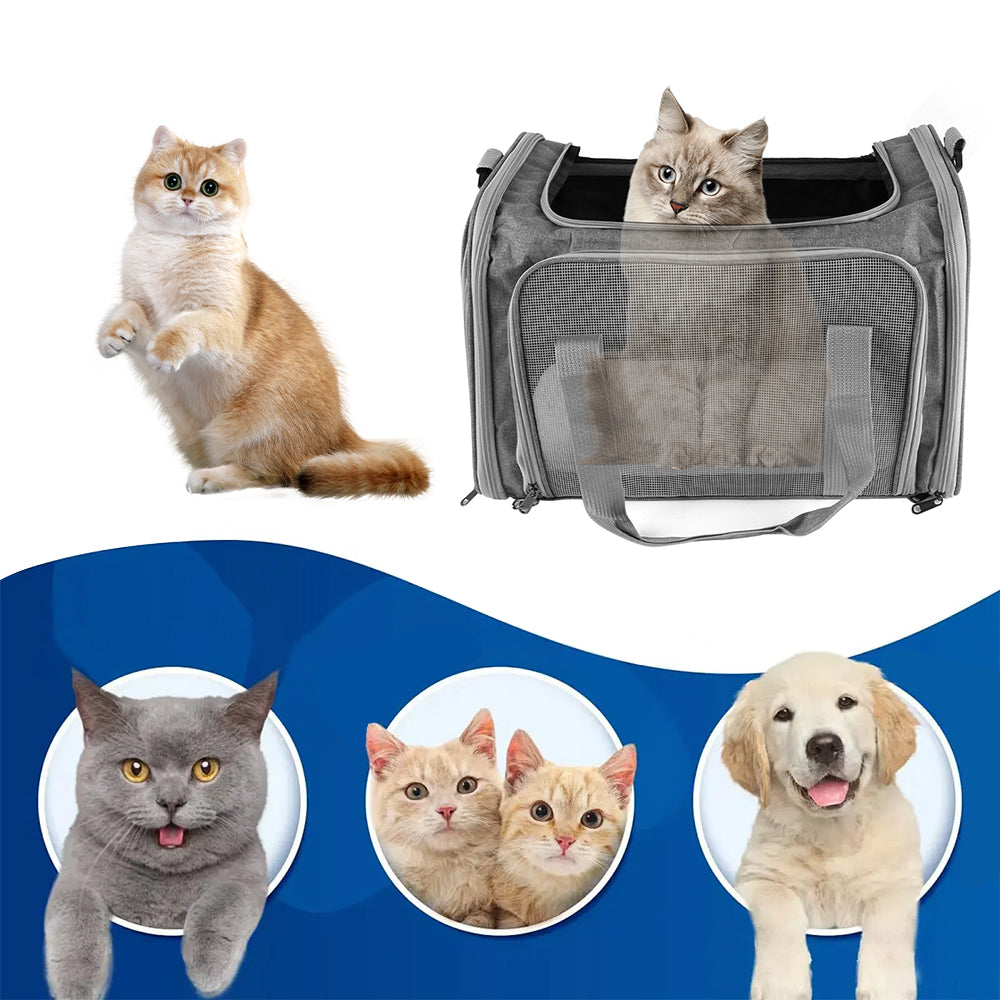 Grey foldable pet travel bag with mesh sides and front window, shown with pets nearby.