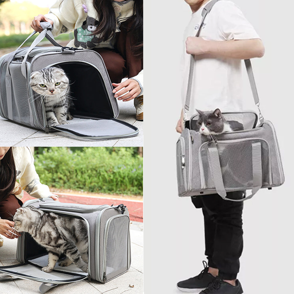 Grey foldable pet travel bag with front mesh window, carried by handle with cat inside.